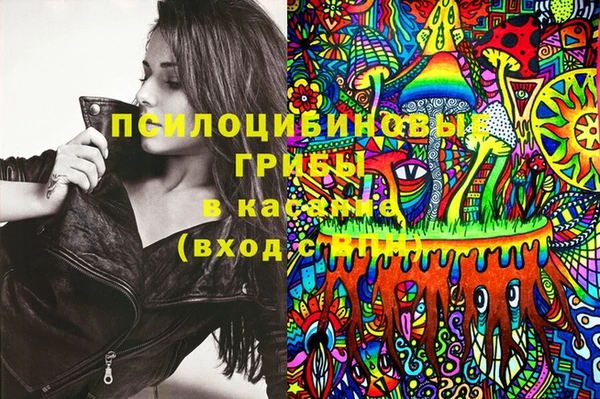 не бодяженный Арсеньев