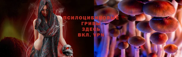ешки Балахна