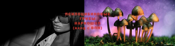 ешки Балахна