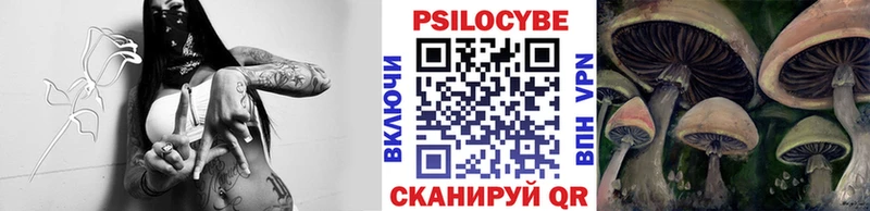 Купить  Мензелинск  Псилоцибиновые грибы Magic Shrooms 