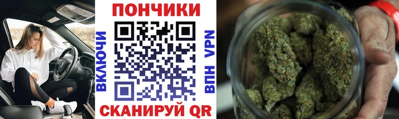 Каннабис Bruce Banner  Купить где  Мензелинск 